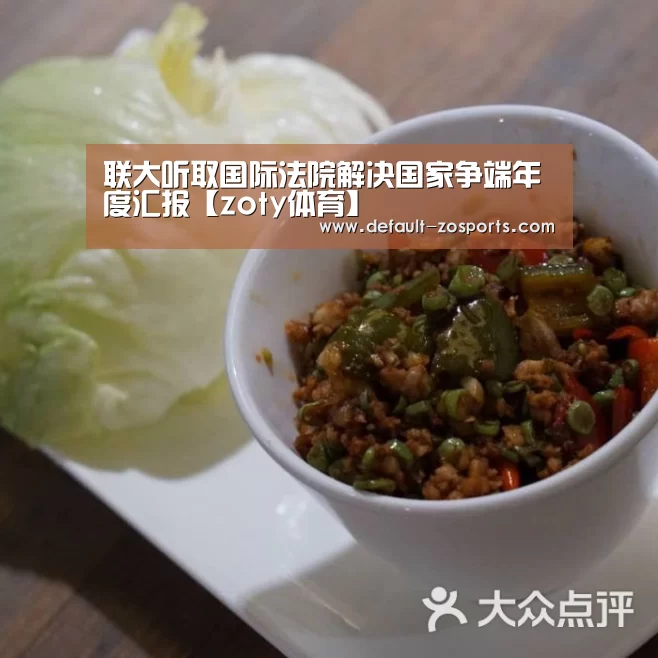 联大听取国际法院解决国家争端年度汇报【zoty体育】(图3) 中欧体育平台
