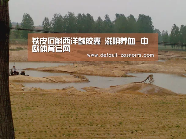 铁皮石斛西洋参胶囊 滋阴养血-中欧体育官网(图1) 中欧体育平台