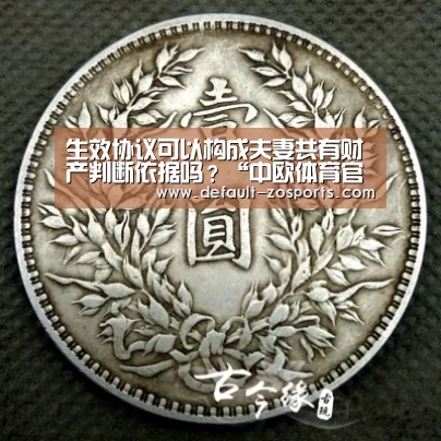 生效协议可以构成夫妻共有财产判断依据吗？“中欧体育官网”