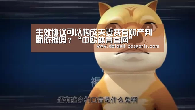 生效协议可以构成夫妻共有财产判断依据吗?“中欧体育官网”(图4) 中欧体育官网