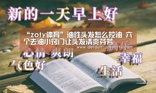 中欧体育平台
