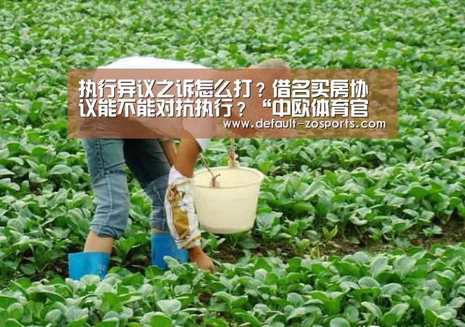 中欧体育