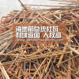 海地前总统杜瓦利埃返国  人权高专认为其应为任期内所犯罪行负