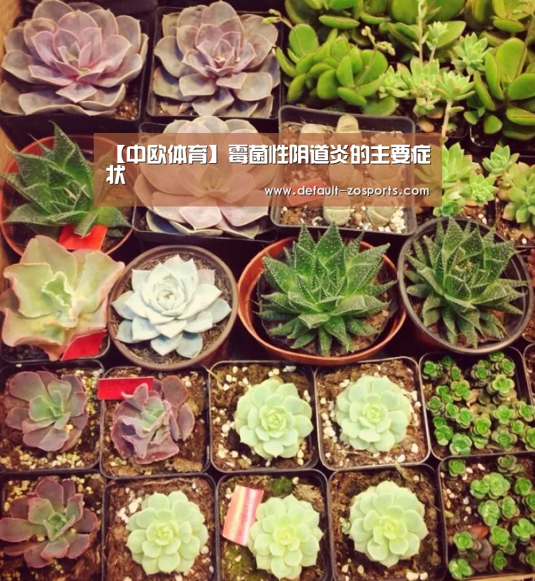 【中欧体育】霉菌性阴道炎的主要症状(图1) 中欧体育