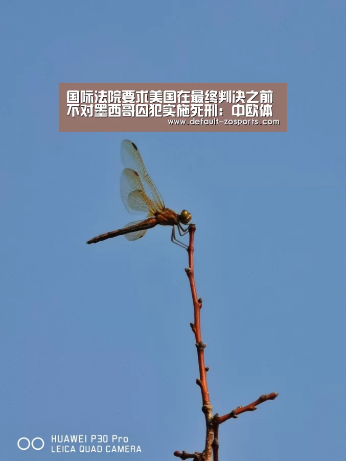 国际法院要求美国在最终判决之前不对墨西哥囚犯实施死刑:中欧体育官网(图4) 中欧体育官网