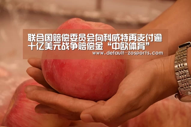 联合国赔偿委员会向科威特再支付逾十亿美元战争赔偿金“中欧体育”(图3) 中欧体育
