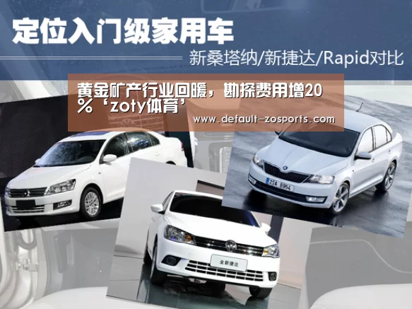 黄金矿产行业回暖,勘探费用增20%‘zoty体育’(图1) 中欧体育